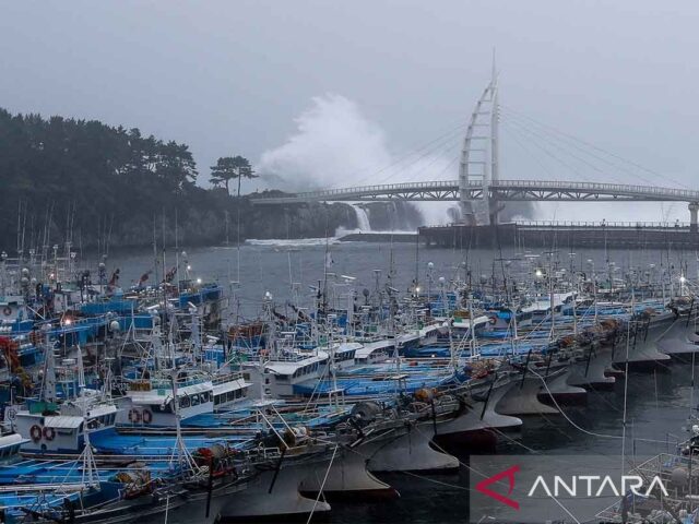 Lebih dari 60 penerbangan ke Pulau Jeju dibatalkan karena cuaca buruk