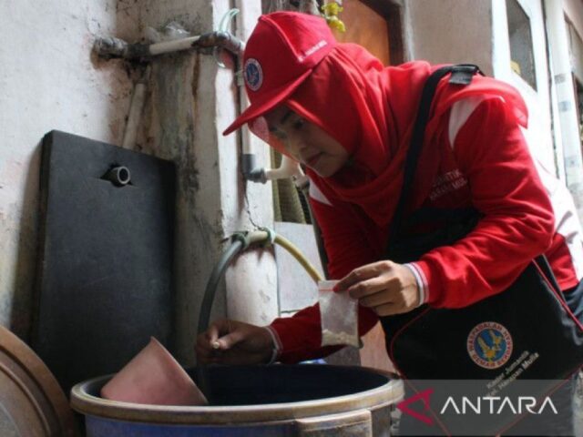 Cara cegah perkembangbiakan nyamuk perantara penularan dengue di rumah