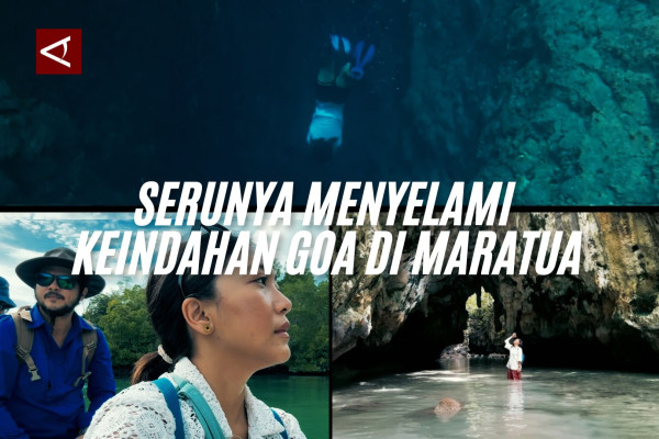 Serunya menyelami keindahan goa di Maratua