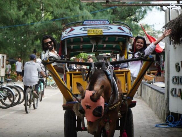 Pemerintah promosikan Bali dan Lombok kepada wisatawan India